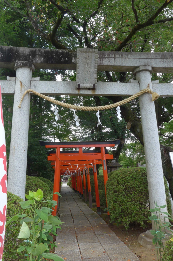 尾引稲荷神社 千本鳥居