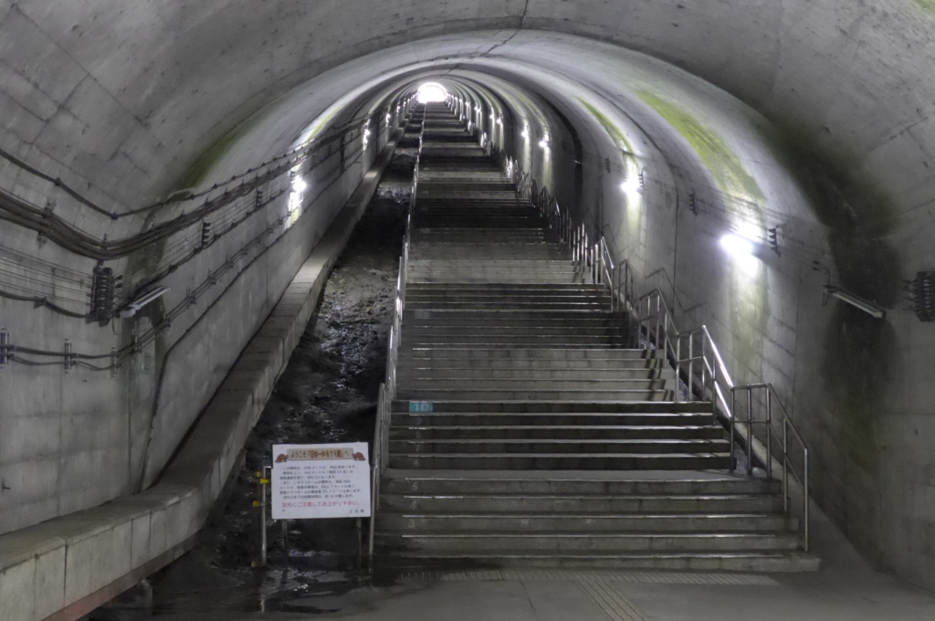 土合駅 - 下り線ホームから見た階段